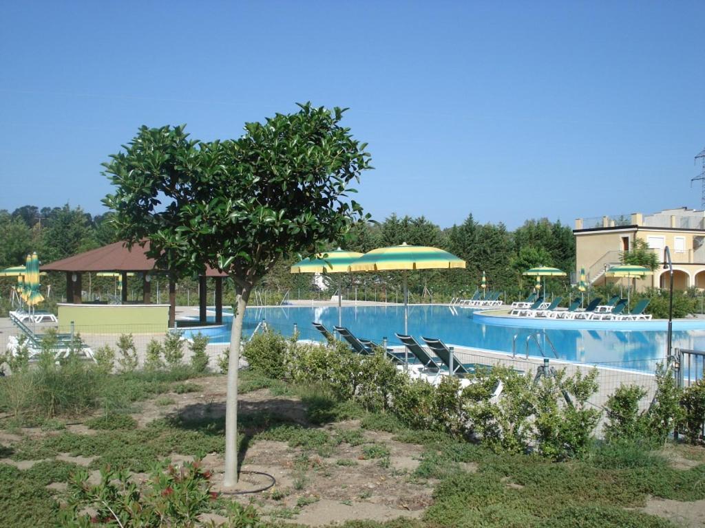 Apartament Sonia Pizzo Beach Club Zewnętrze zdjęcie